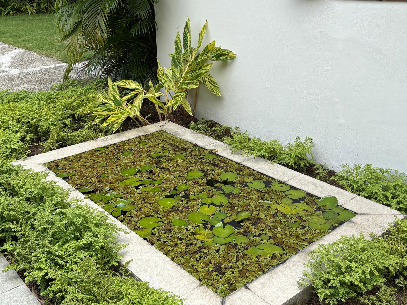 Third image of 1 3-5 Great House Boulevard in Kingston 6, St. Andrew, Jamaica - property is For Rent