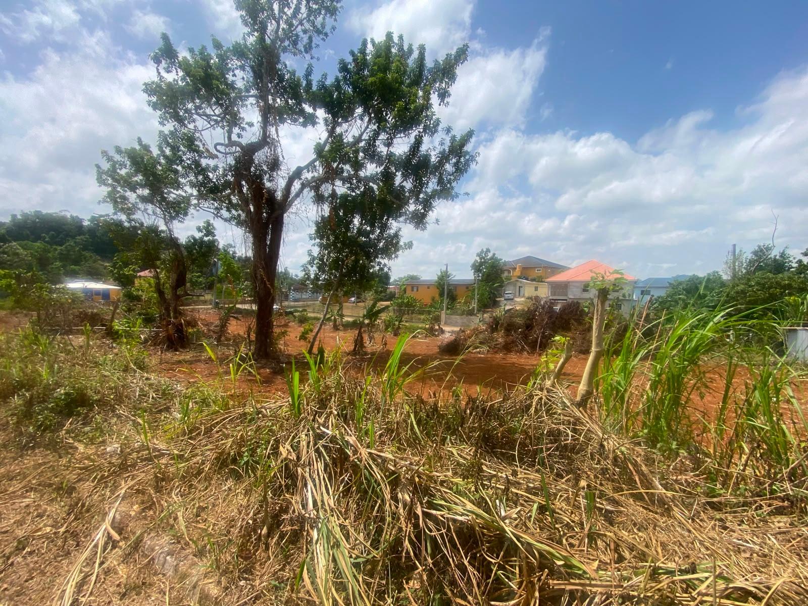 Fourth image of Lot 1 West Road Mandevill in Mandeville, Manchester, Jamaica - property is For Sale