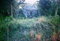 First image of Luana Pen, St. Elizabeth in Black River, St. Elizabeth, Jamaica - property is For Sale