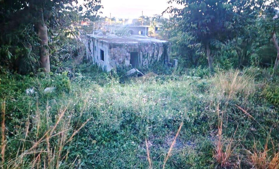 Third image of Luana Pen, St. Elizabeth in Black River, St. Elizabeth, Jamaica - property is For Sale