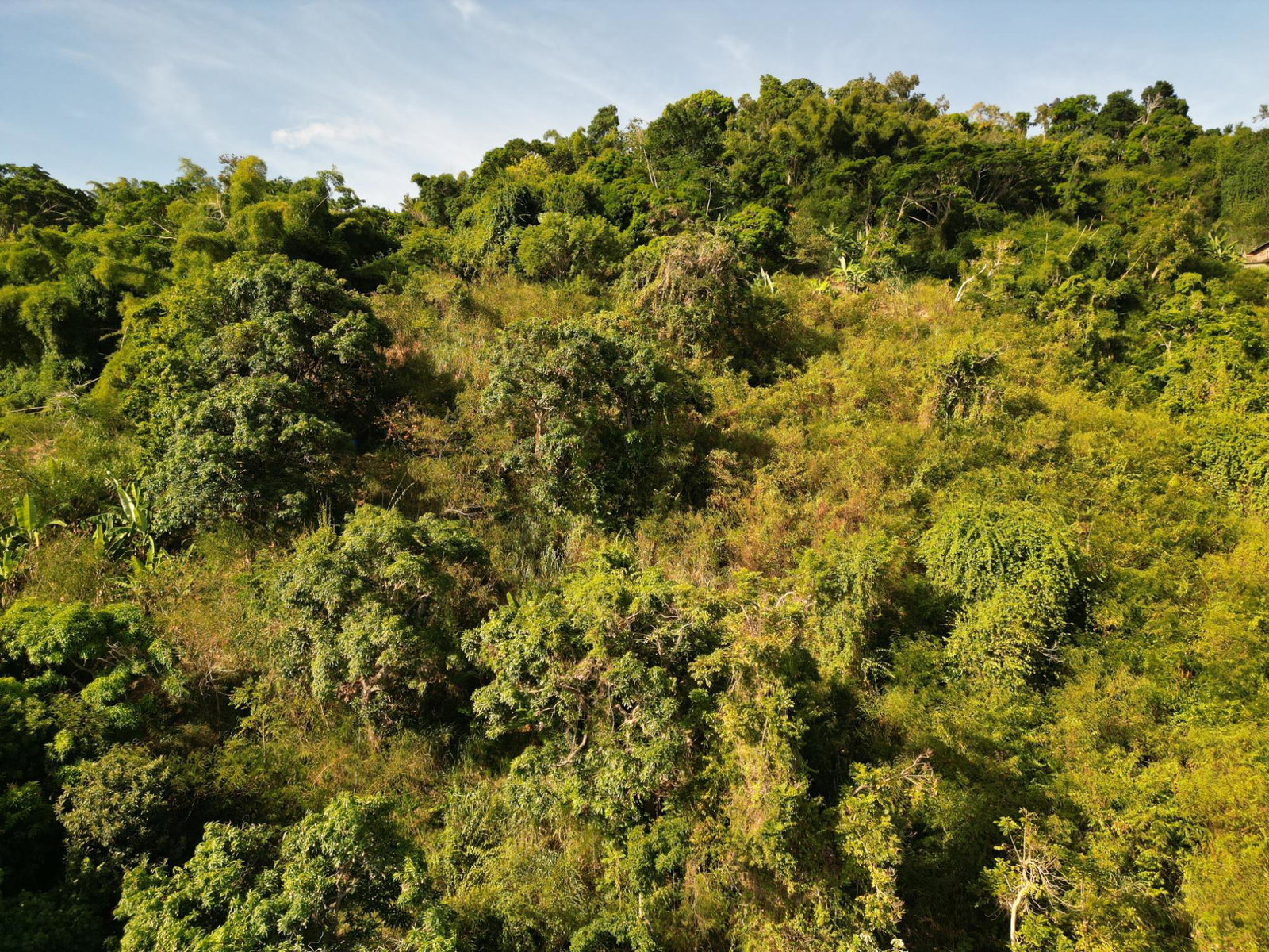 First image of Irish Town Road in Irish Town P.A., St. Andrew, Jamaica - property is For Sale