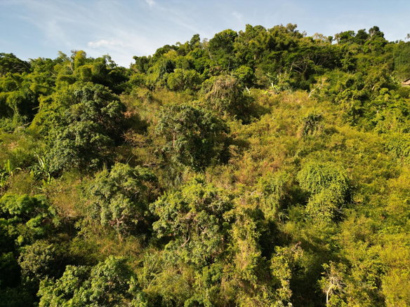First image of Irish Town Road in Irish Town P.A., St. Andrew, Jamaica - property is For Sale