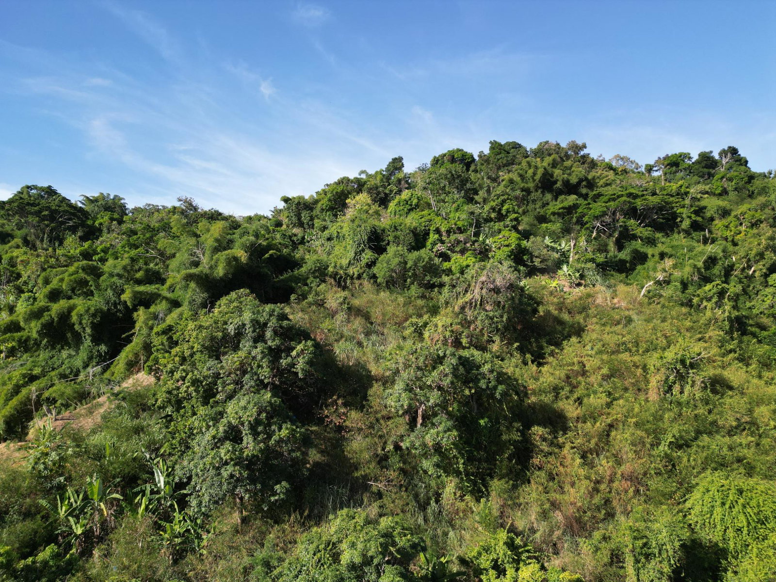 Fourth image of Irish Town Road in Irish Town P.A., St. Andrew, Jamaica - property is For Sale