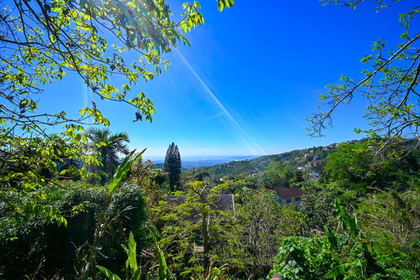 Fifth image of 11 Fort George Crescent in Kingston 9, St. Andrew, Jamaica - property is For Sale