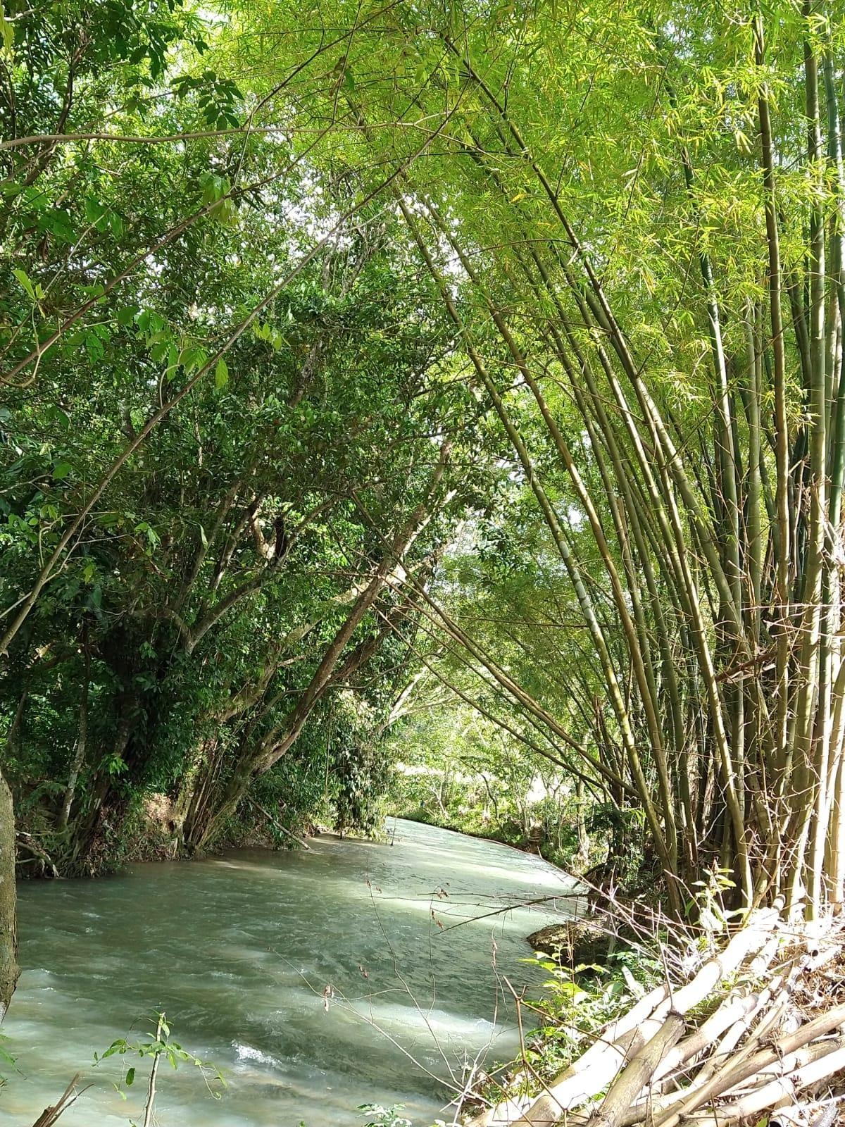 First image of Friendship, Westmoreland in Friendship, Westmoreland, Jamaica - property is For Sale