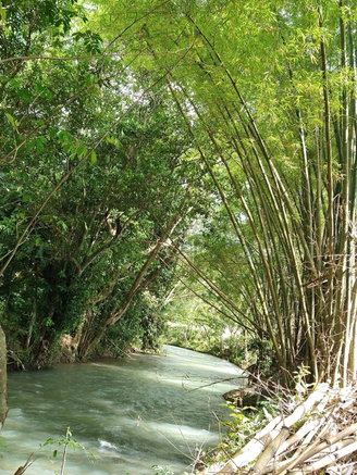 First image of Friendship, Westmoreland in Friendship, Westmoreland, Jamaica - property is For Sale