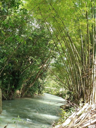 First image of Friendship, Westmoreland in Friendship, Westmoreland, Jamaica - property is For Sale