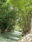 First image of Friendship, Westmoreland in Friendship, Westmoreland, Jamaica - property is For Sale