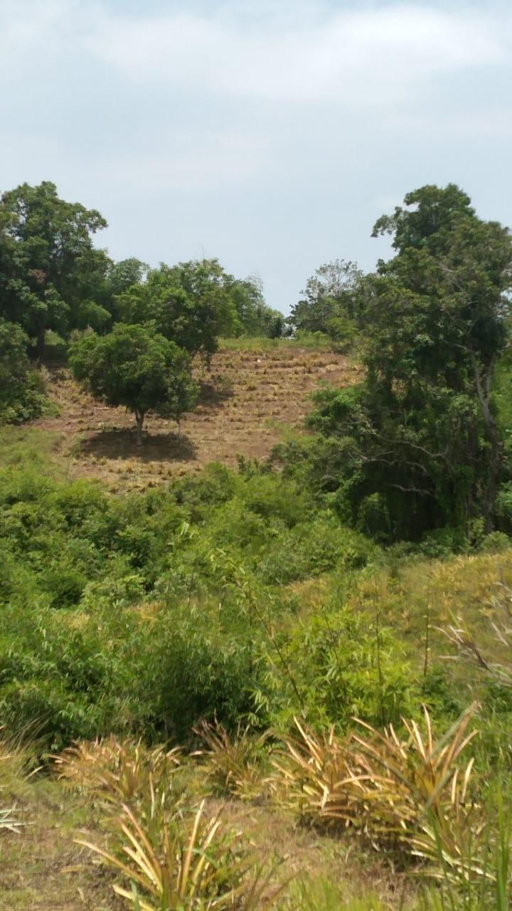 Thirteenth image of Friendship, Westmoreland in Friendship, Westmoreland, Jamaica - property is For Sale