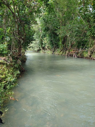 Second image of Friendship, Westmoreland in Friendship, Westmoreland, Jamaica - property is For Sale