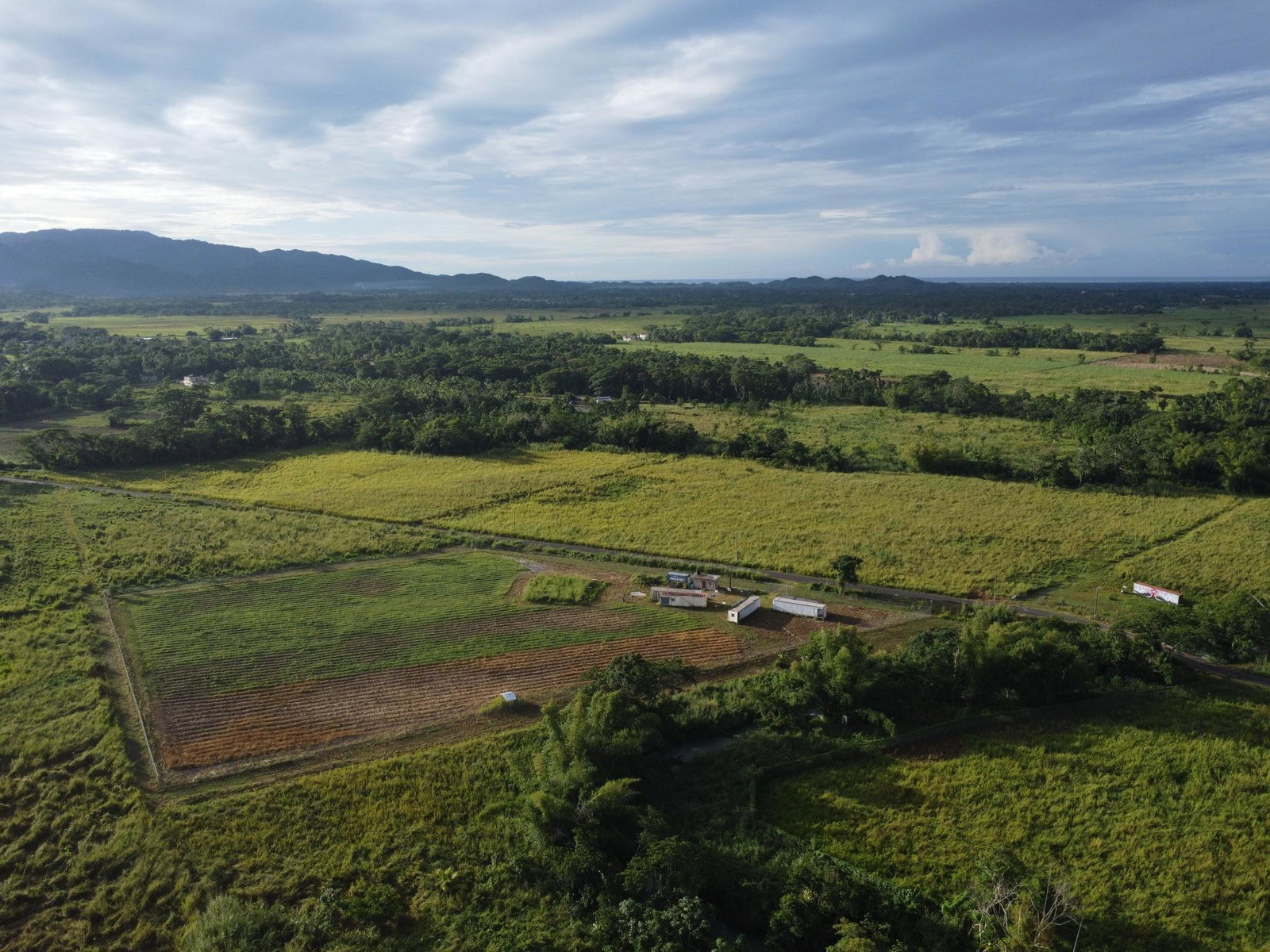 Third image of Friendship, Westmoreland in Friendship, Westmoreland, Jamaica - property is For Sale