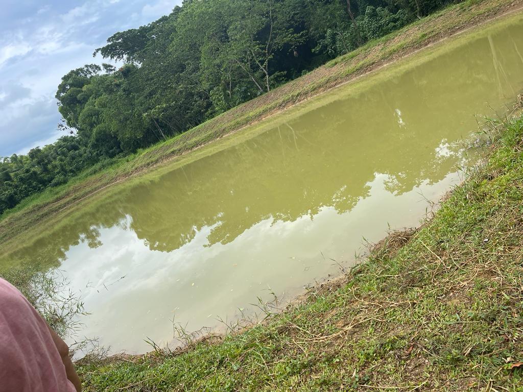 Fourth image of Friendship, Westmoreland in Friendship, Westmoreland, Jamaica - property is For Sale