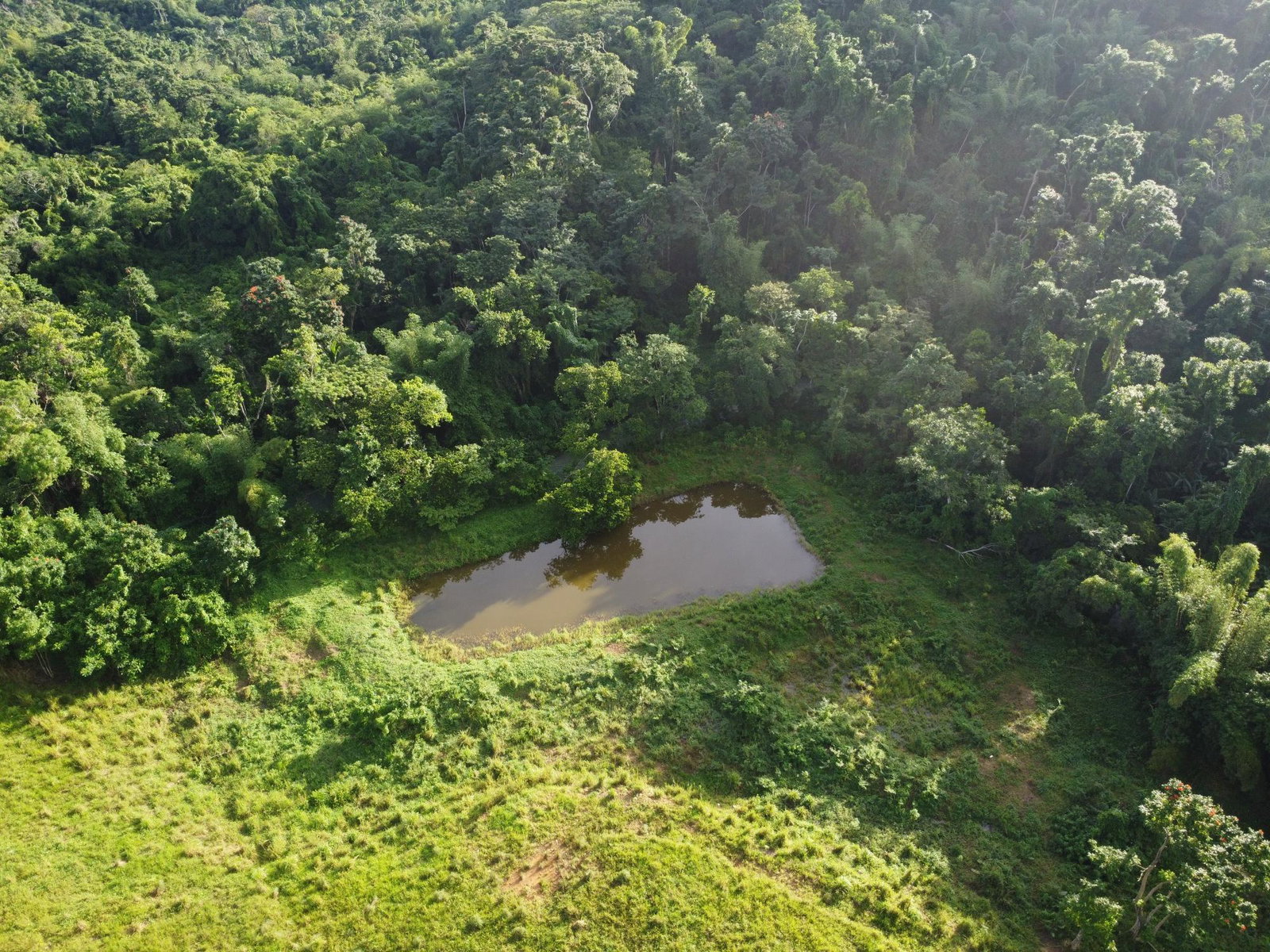 Fifth image of Friendship, Westmoreland in Friendship, Westmoreland, Jamaica - property is For Sale