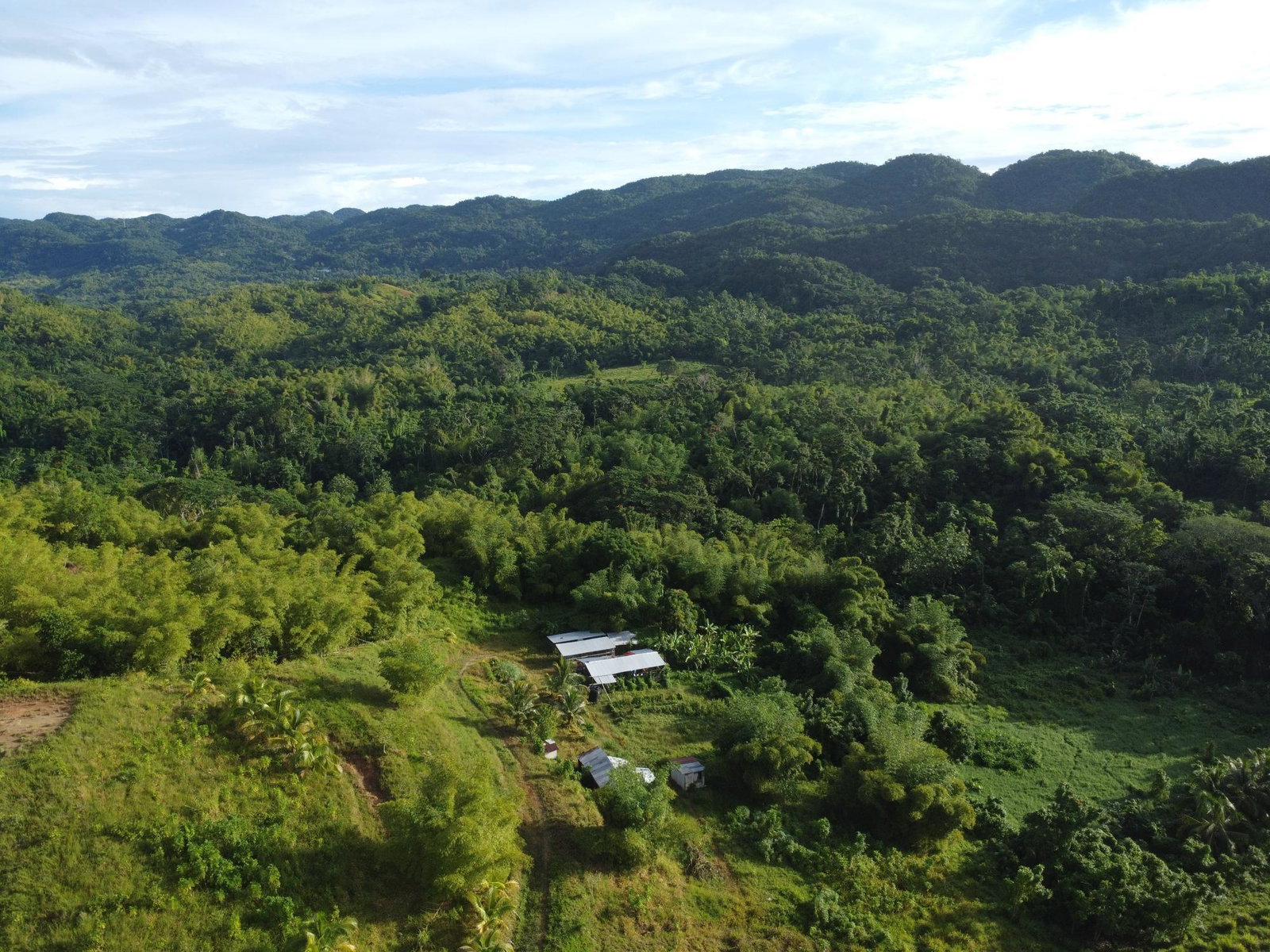 Seventh image of Friendship, Westmoreland in Friendship, Westmoreland, Jamaica - property is For Sale