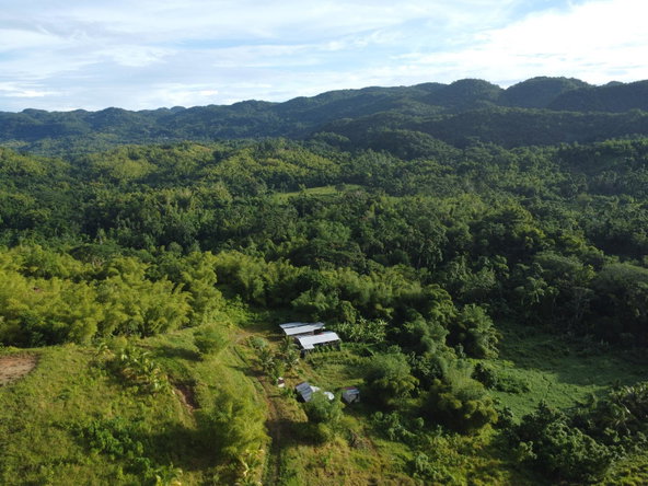Seventh image of Friendship, Westmoreland in Friendship, Westmoreland, Jamaica - property is For Sale
