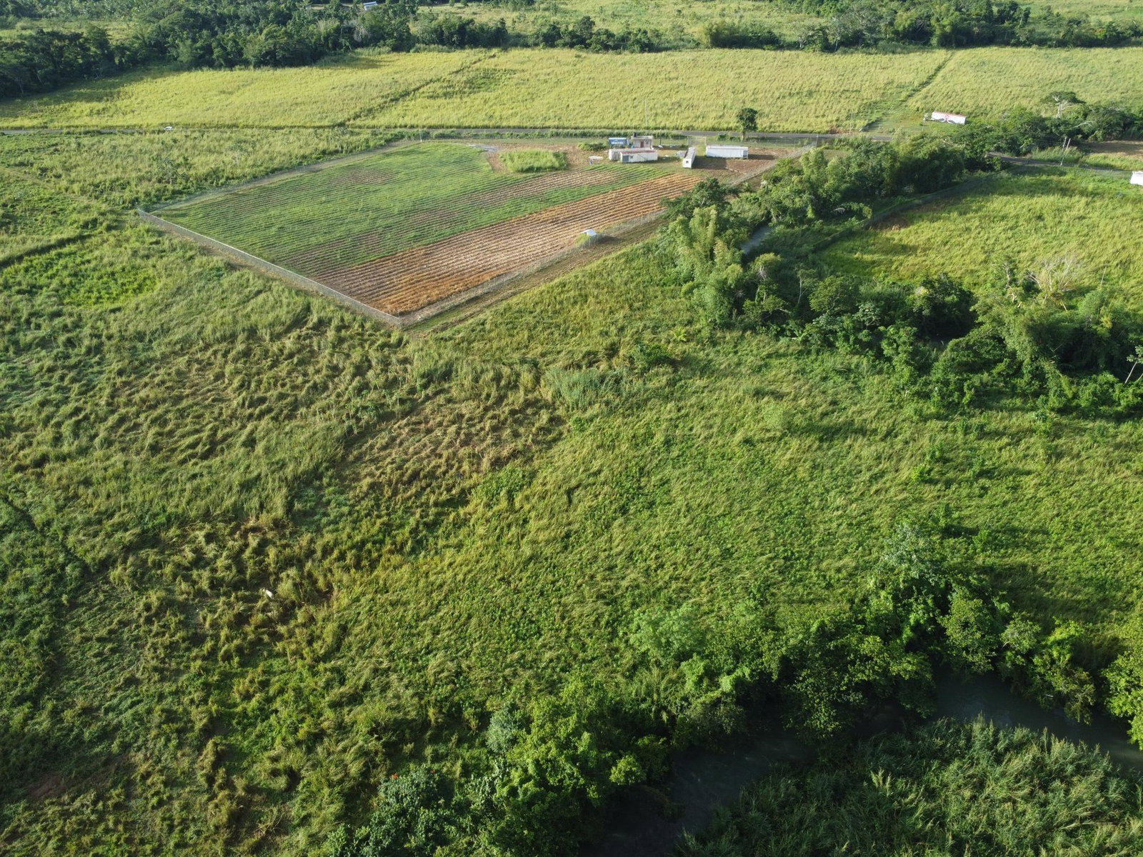 Eighth image of Friendship, Westmoreland in Friendship, Westmoreland, Jamaica - property is For Sale