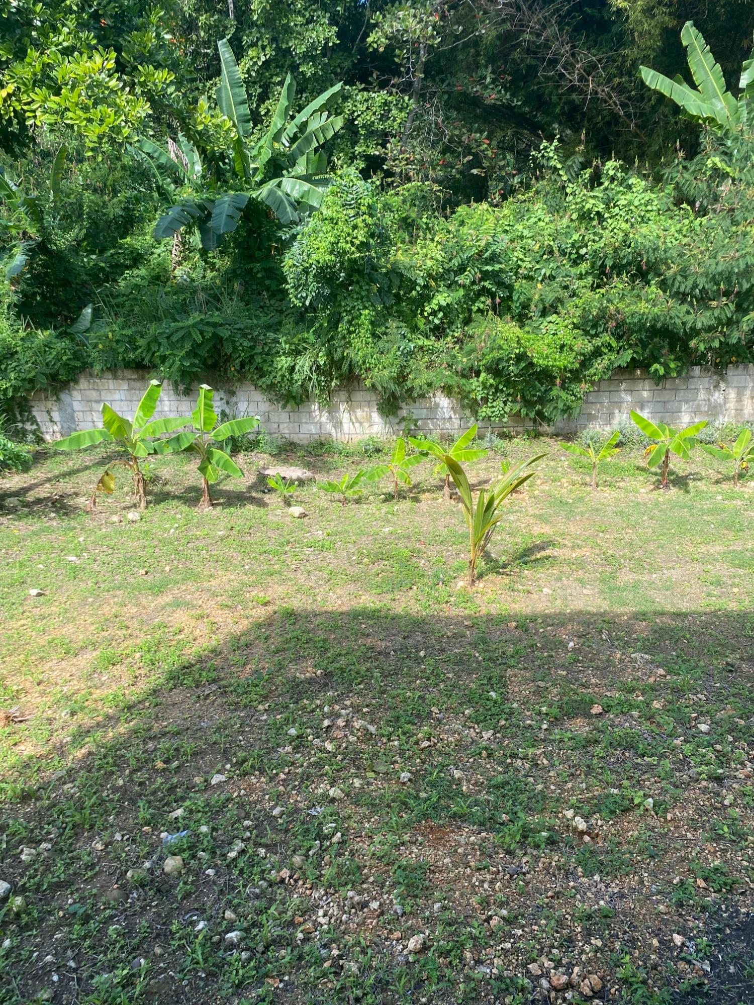 Twenty-Ninth image of Napa Heights, Drax Hall in St. Ann's Bay, St. Ann, Jamaica - property is For Rent