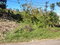 First image of Lot 1 Part Brumalia in Mandeville, Manchester, Jamaica - property is For Sale