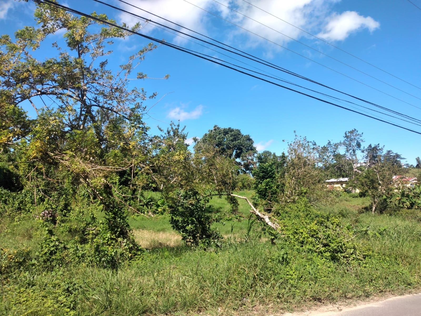 Twelfth image of Lot 1 Part Brumalia in Mandeville, Manchester, Jamaica - property is For Sale