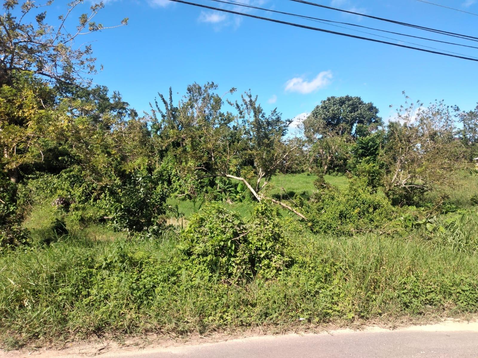 Fifteenth image of Lot 1 Part Brumalia in Mandeville, Manchester, Jamaica - property is For Sale