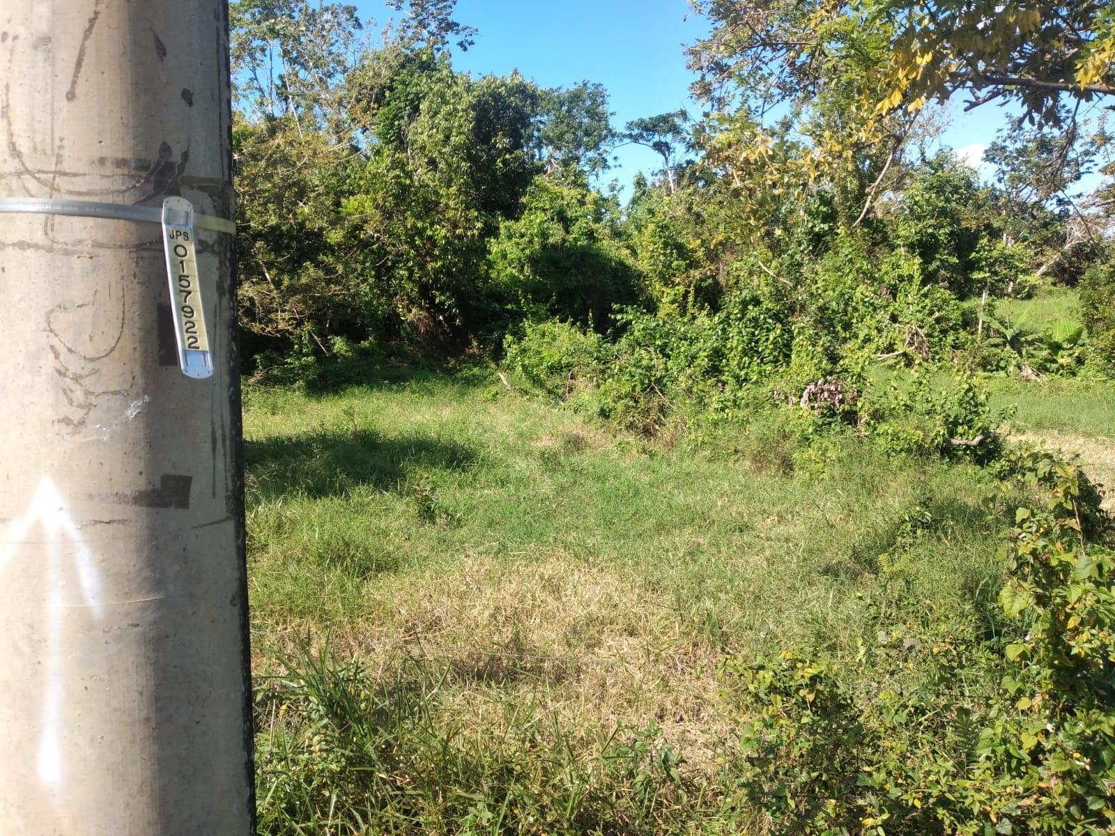 Second image of Lot 1 Part Brumalia in Mandeville, Manchester, Jamaica - property is For Sale