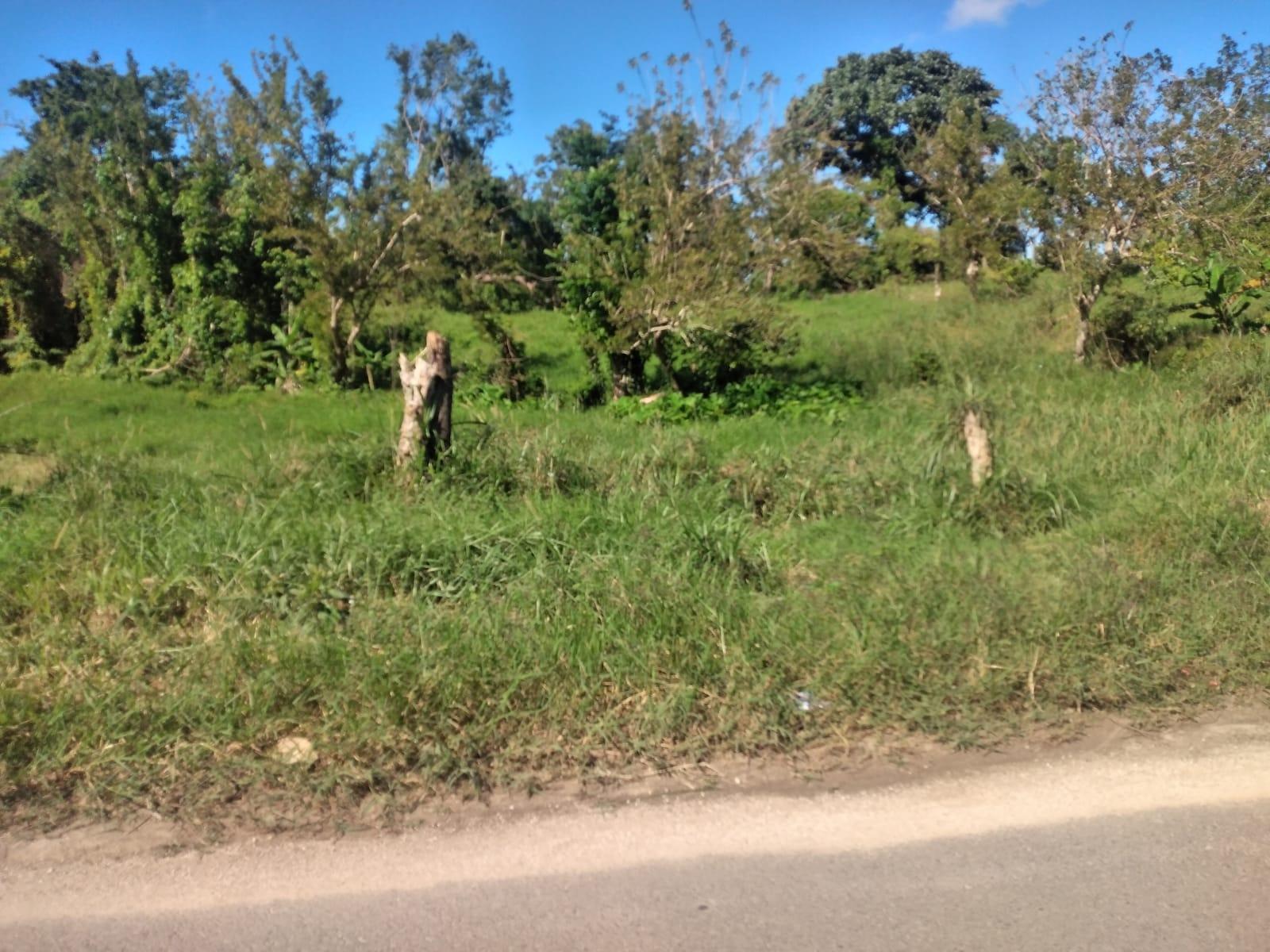Fourth image of Lot 1 Part Brumalia in Mandeville, Manchester, Jamaica - property is For Sale