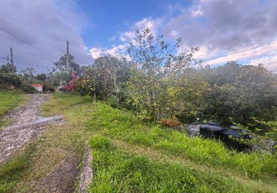 Twelfth image of Glengoffe in Glengoffe, St. Catherine, Jamaica - property is For Sale