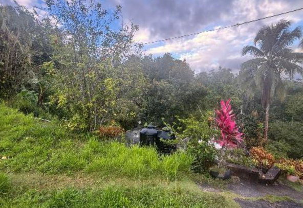 Thirteenth image of Glengoffe in Glengoffe, St. Catherine, Jamaica - property is For Sale