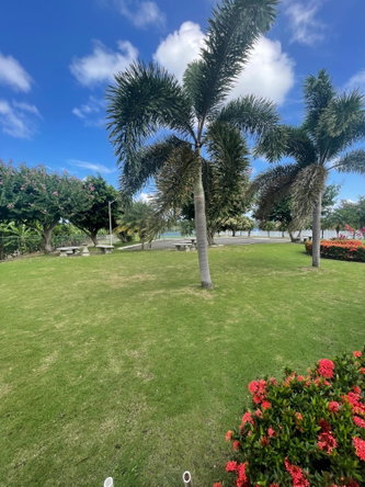 Fourteenth image of Drax Hall Manor in St. Ann's Bay, St. Ann, Jamaica - property is For Sale