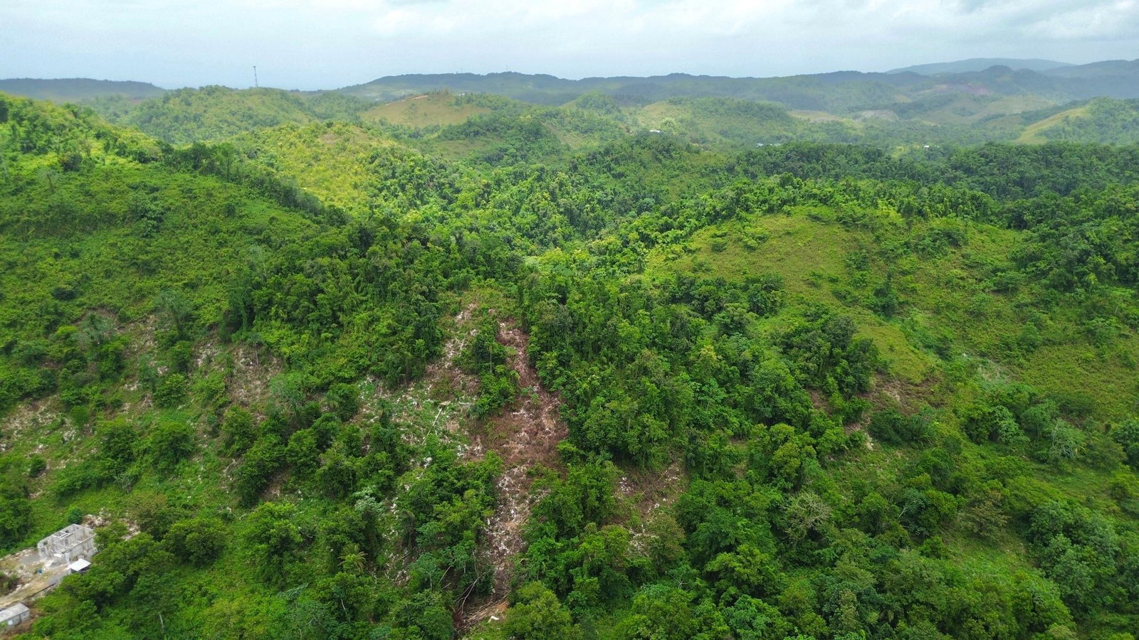 Third image of Nonsuch in Nonsuch, Portland, Jamaica - property is For Sale