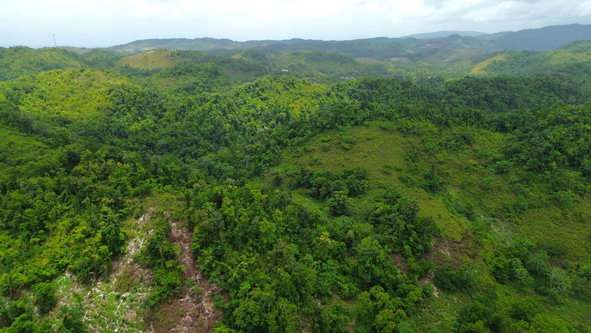 Fourth image of Nonsuch in Nonsuch, Portland, Jamaica - property is For Sale