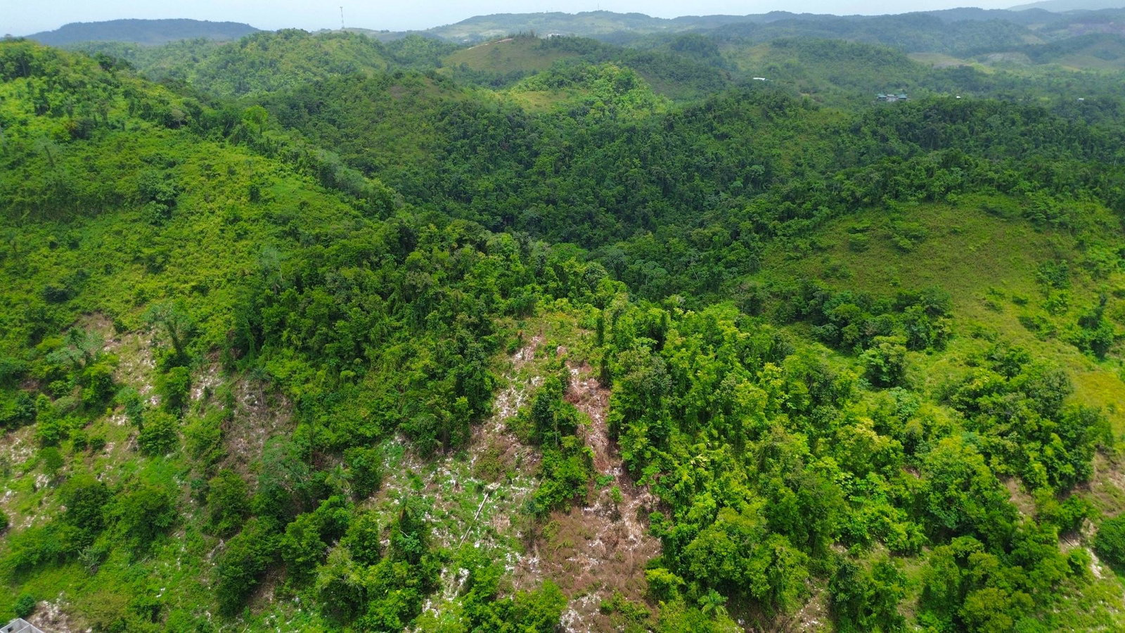 Fifth image of Nonsuch in Nonsuch, Portland, Jamaica - property is For Sale