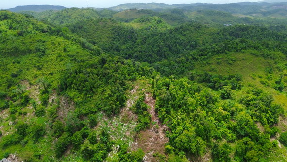 Fifth image of Nonsuch in Nonsuch, Portland, Jamaica - property is For Sale