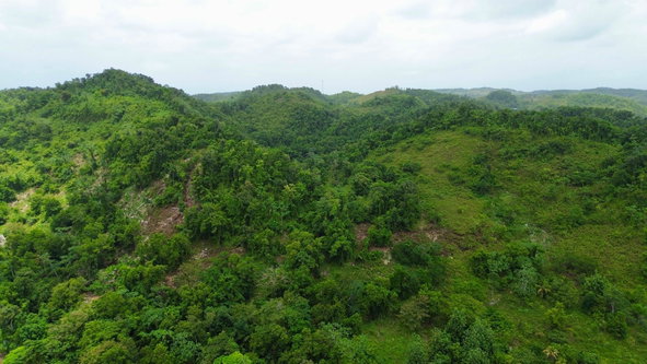 Sixth image of Nonsuch in Nonsuch, Portland, Jamaica - property is For Sale