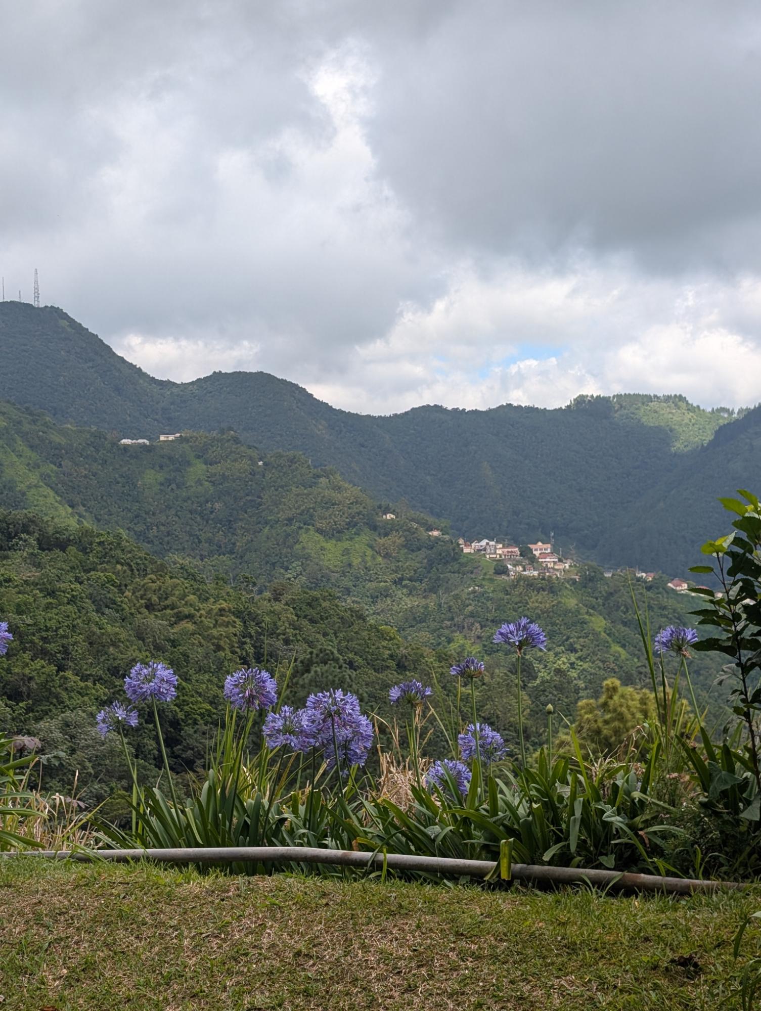 Fifteenth image of 20 Greenwich Drive in Irish Town P.A., St. Andrew, Jamaica - property is For Sale