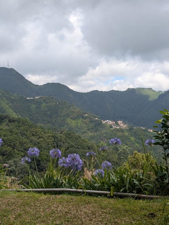 Fifteenth image of 20 Greenwich Drive in Irish Town P.A., St. Andrew, Jamaica - property is For Sale