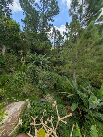 Seventeenth image of 20 Greenwich Drive in Irish Town P.A., St. Andrew, Jamaica - property is For Sale