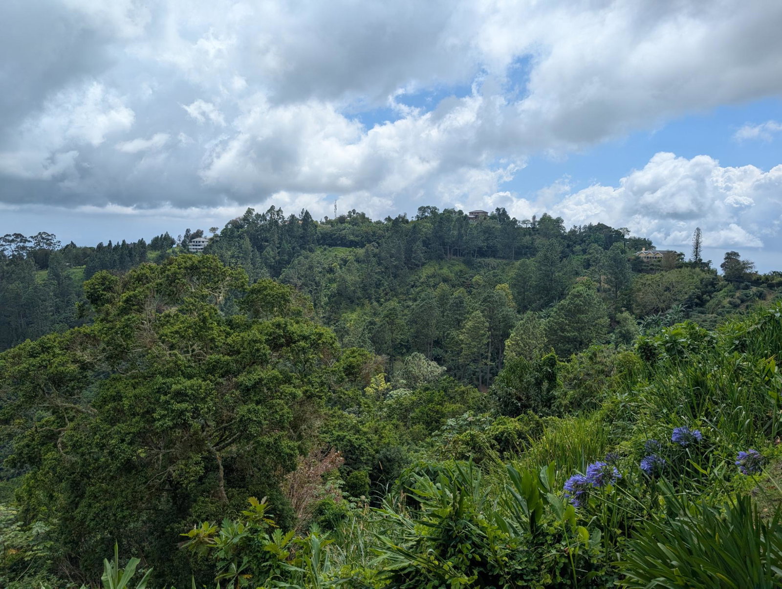 Second image of 20 Greenwich Drive in Irish Town P.A., St. Andrew, Jamaica - property is For Sale