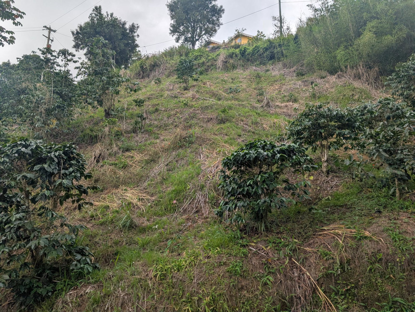 Fifth image of 20 Greenwich Drive in Irish Town P.A., St. Andrew, Jamaica - property is For Sale