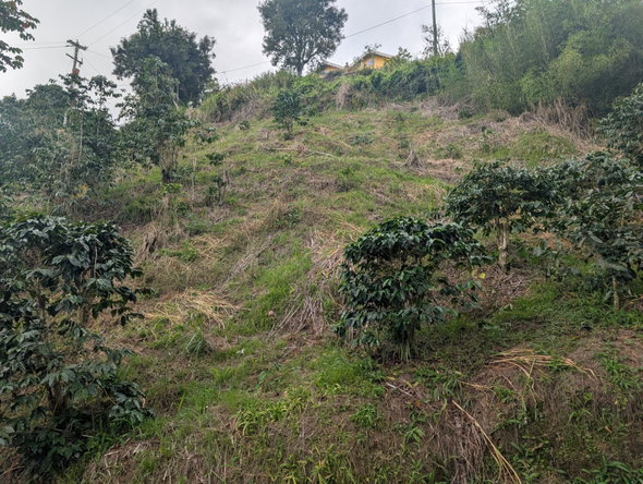 Fifth image of 20 Greenwich Drive in Irish Town P.A., St. Andrew, Jamaica - property is For Sale