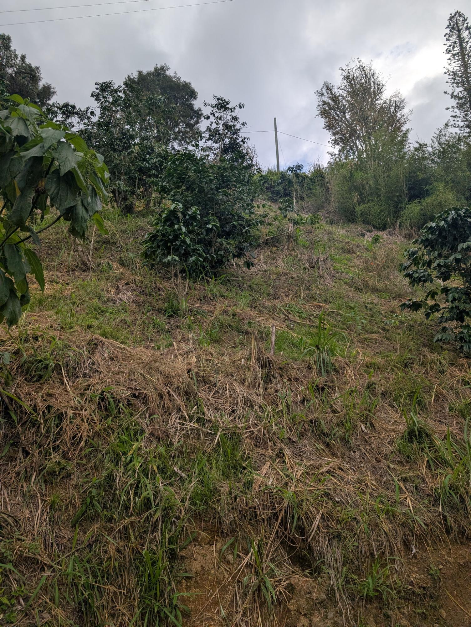 Sixth image of 20 Greenwich Drive in Irish Town P.A., St. Andrew, Jamaica - property is For Sale