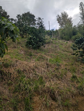 Sixth image of 20 Greenwich Drive in Irish Town P.A., St. Andrew, Jamaica - property is For Sale