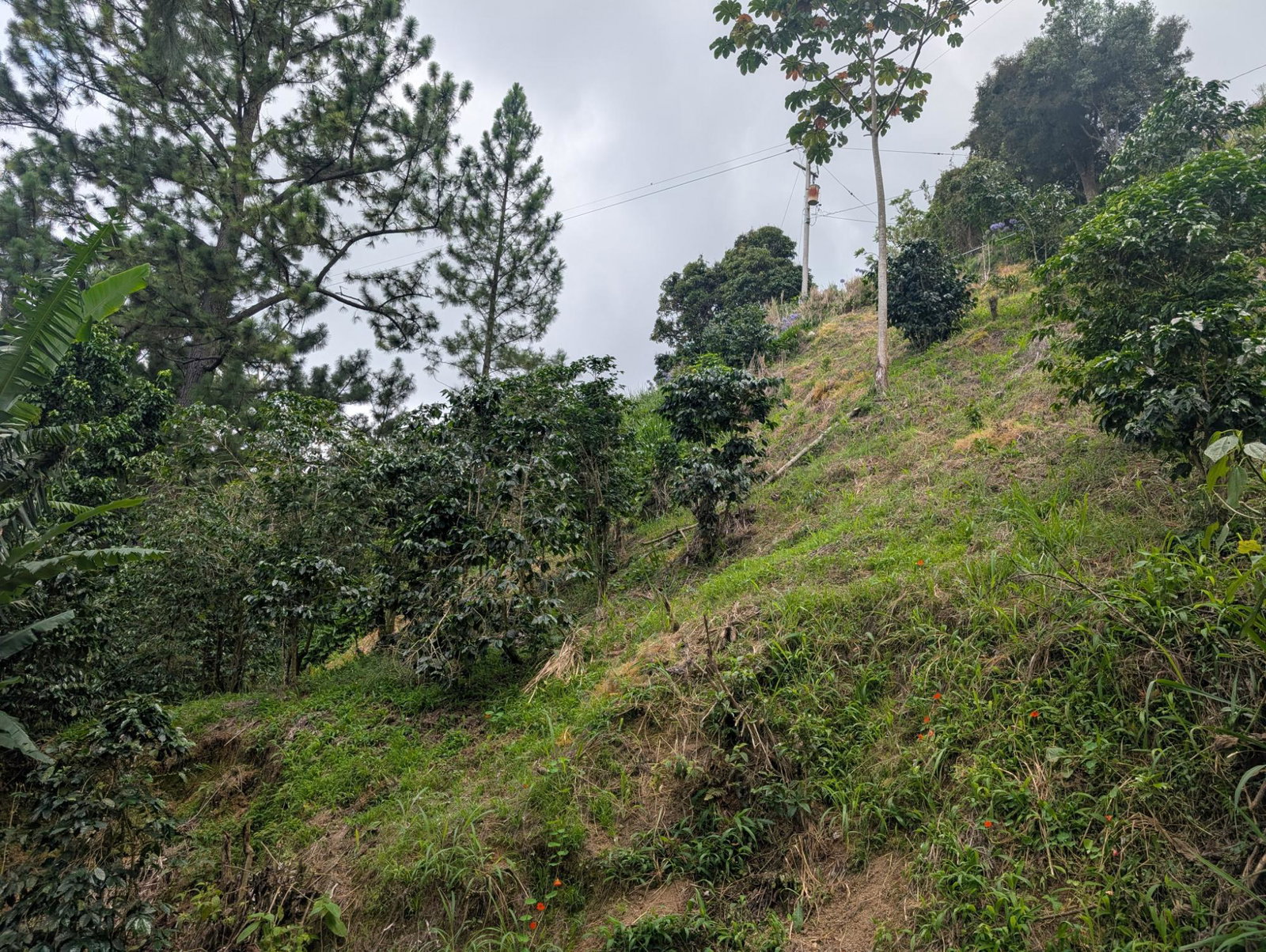 Eighth image of 20 Greenwich Drive in Irish Town P.A., St. Andrew, Jamaica - property is For Sale