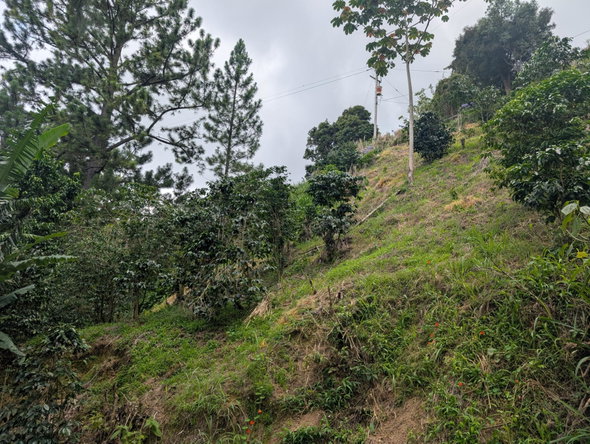 Eighth image of 20 Greenwich Drive in Irish Town P.A., St. Andrew, Jamaica - property is For Sale
