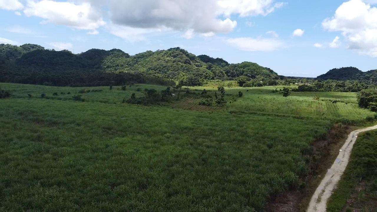 First image of Kings Valley in Grange Hill, Westmoreland, Jamaica - property is For Sale