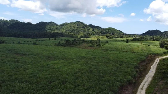 First image of Kings Valley in Grange Hill, Westmoreland, Jamaica - property is For Sale