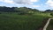 First image of Kings Valley in Grange Hill, Westmoreland, Jamaica - property is For Sale