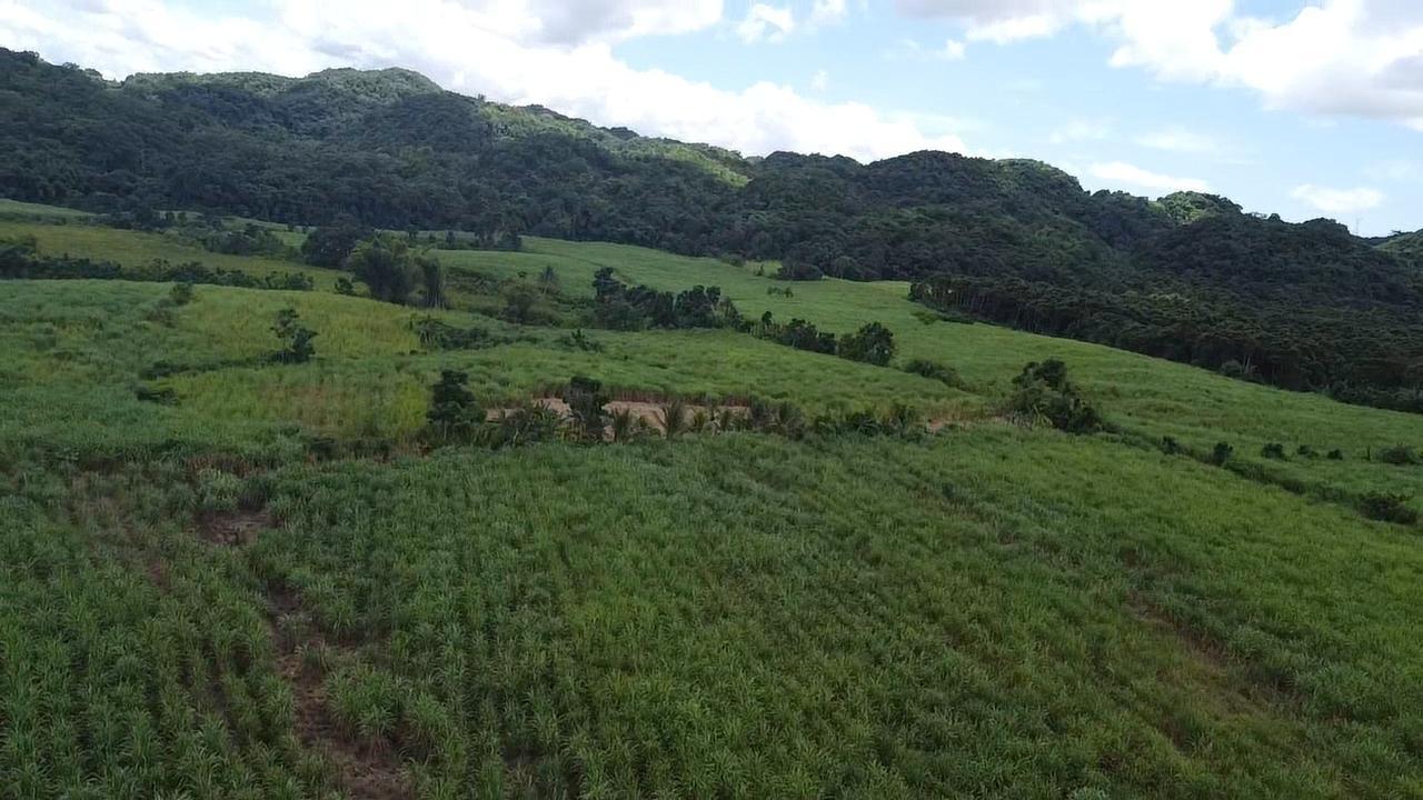 Second image of Kings Valley in Grange Hill, Westmoreland, Jamaica - property is For Sale