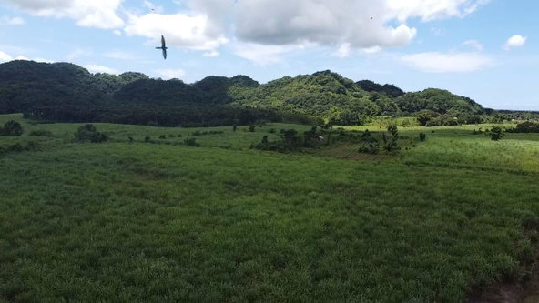 Third image of Kings Valley in Grange Hill, Westmoreland, Jamaica - property is For Sale