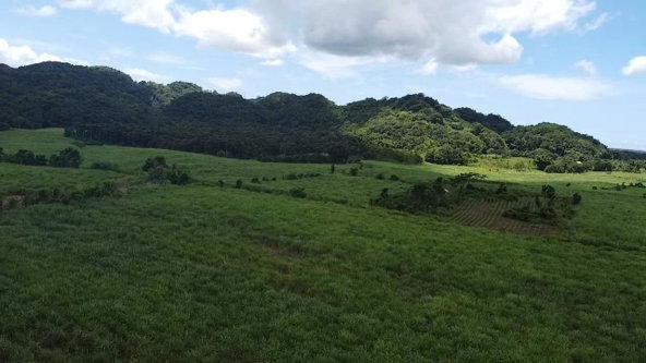Fourth image of Kings Valley in Grange Hill, Westmoreland, Jamaica - property is For Sale